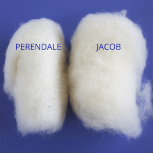Image shows two different types of white carded wool batting