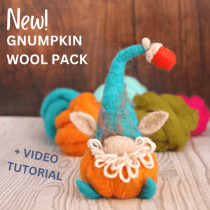 Image shows a cute pumpkin gnome in bright bold colours of teal, orange and cream